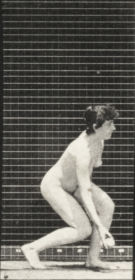Plate 303 Picking up a ball and throwing it — figure reference